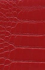 ������� ���� �������� �������