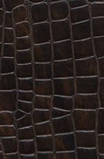 ������� ���� �������� ������