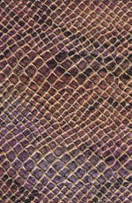 ������� ���� ���� �������������