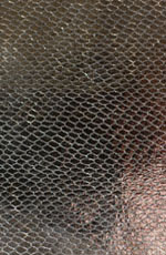 ������� ���� ���� �����������