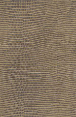 ������� ���� ���� �������