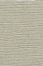 ������� ���� �������