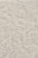 ������� ���� ������