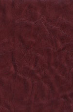 ������� ���� �����