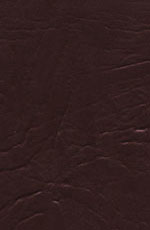 ������� ���� ����� ������