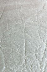 ������� ���� ������ �������