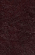 ������� ���� ������� ����������