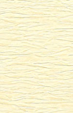 ������� ���� �������� �������